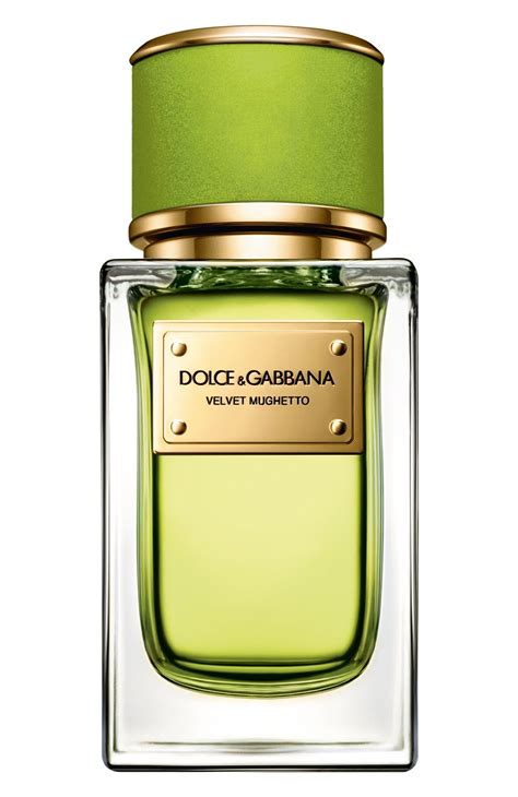 parfum bergamotte dolce gabbana|Velvet Mughetto Dolce&Gabbana for women and men.